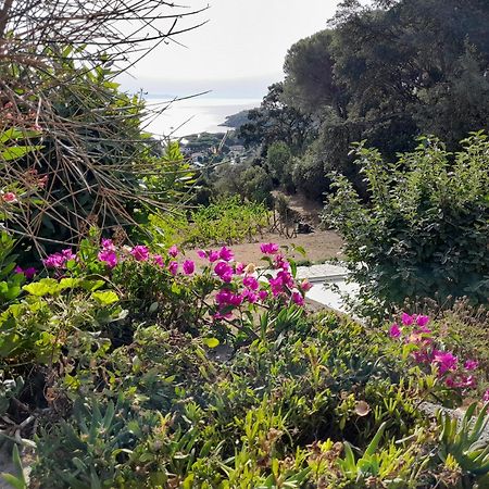 Villa Gualdo Piscina Vista Mare Capoliveri  Eksteriør billede