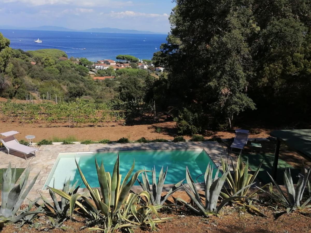 Villa Gualdo Piscina Vista Mare Capoliveri  Eksteriør billede