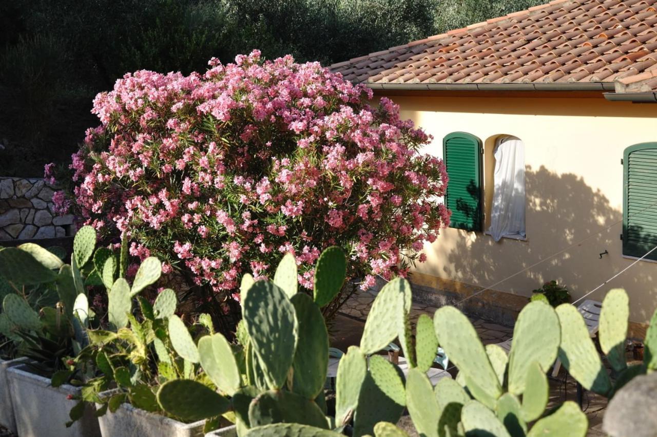 Villa Gualdo Piscina Vista Mare Capoliveri  Eksteriør billede