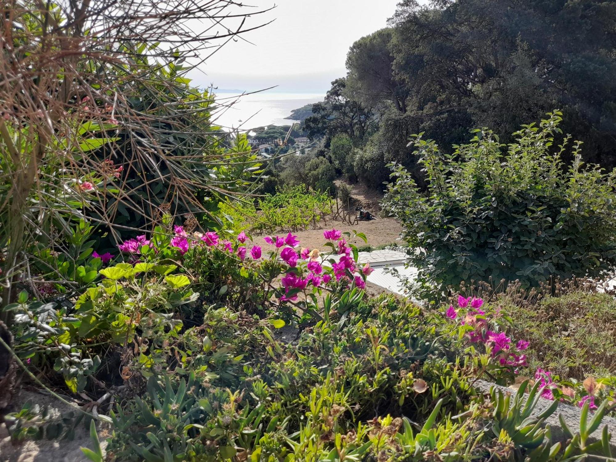 Villa Gualdo Piscina Vista Mare Capoliveri  Eksteriør billede